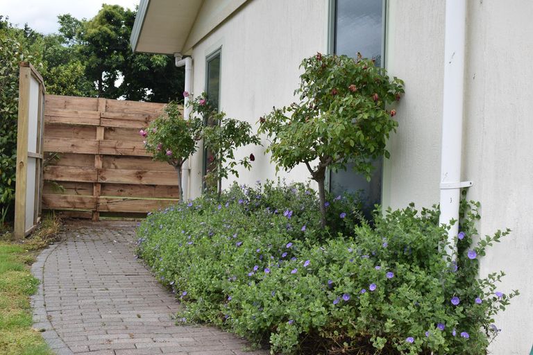 Photo of property in 225 Belvedere Road, Carterton, 5713