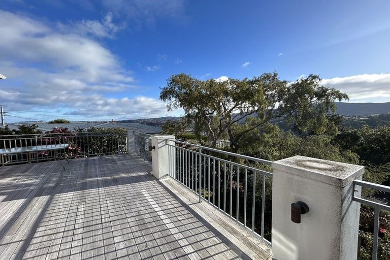 Photo of property in 113 Signal Hill Road, Opoho, Dunedin, 9010