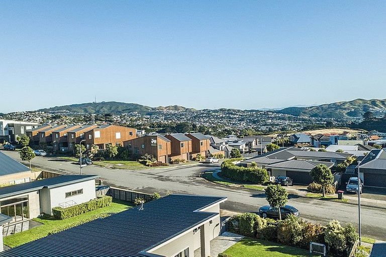 Photo of property in 35 Lacebark Lane, Woodridge, Wellington, 6037
