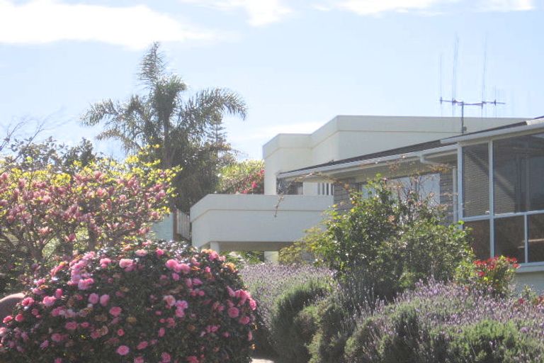 Photo of property in 19b Tilby Drive, Matua, Tauranga, 3110