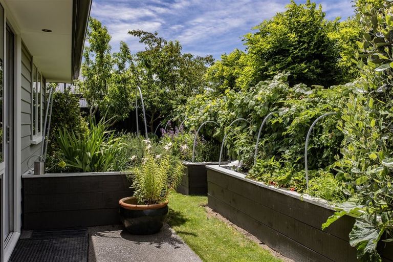 Photo of property in 17 Adams Street, Kaiapoi, 7630