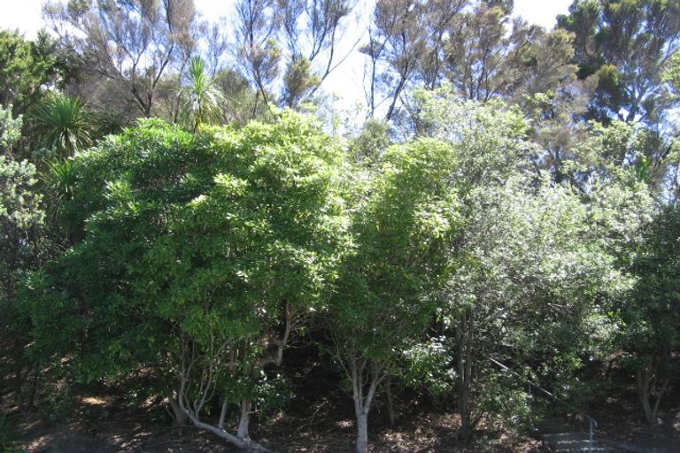 Photo of property in 244 Rangatira Road, Beach Haven, Auckland, 0626