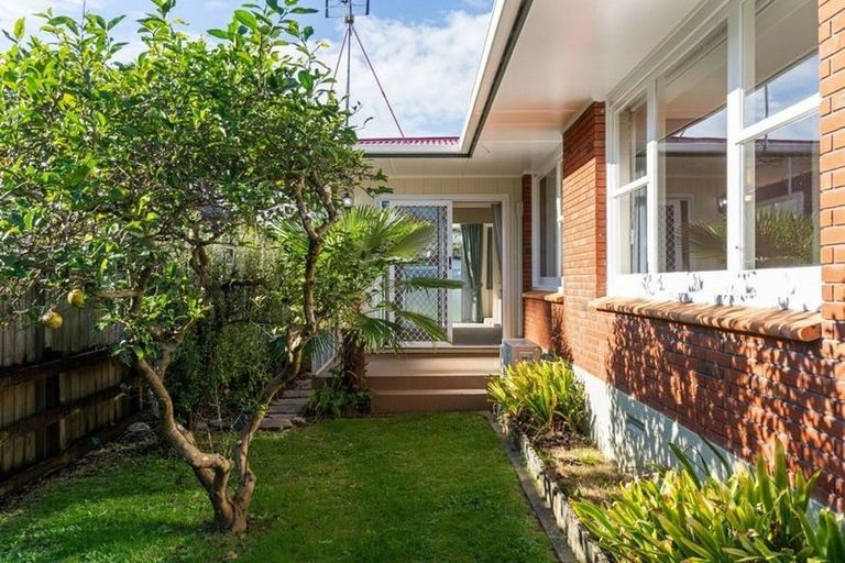 Photo of property in 22 Woods Avenue, Matua, Tauranga, 3110