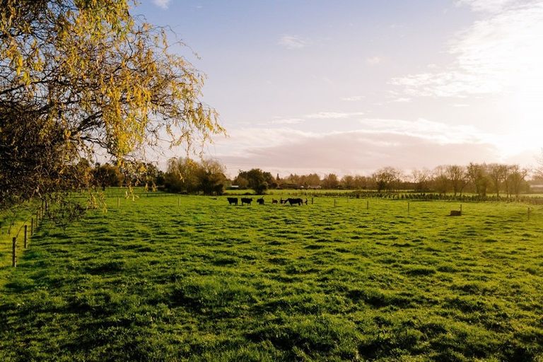 Photo of property in 98 Tamahere Drive, Tamahere, Hamilton, 3283