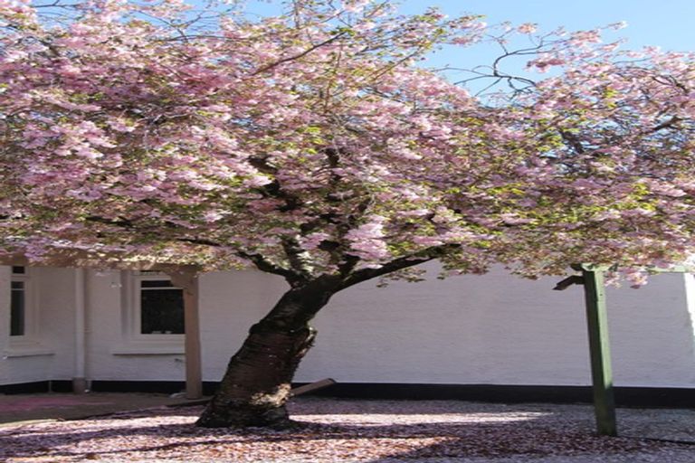 Photo of property in 15 Rodney Street, Georgetown, Invercargill, 9812