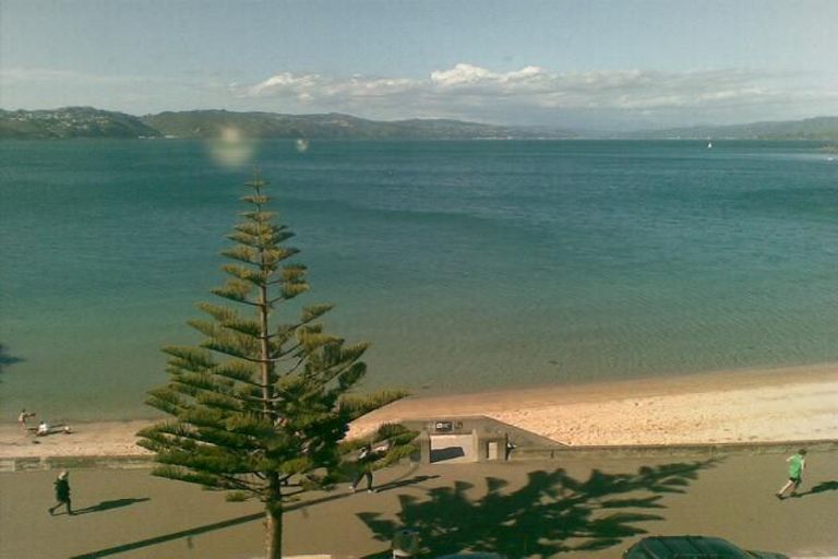 Photo of property in Matai Moana, 3/178 Oriental Parade, Oriental Bay, Wellington, 6011