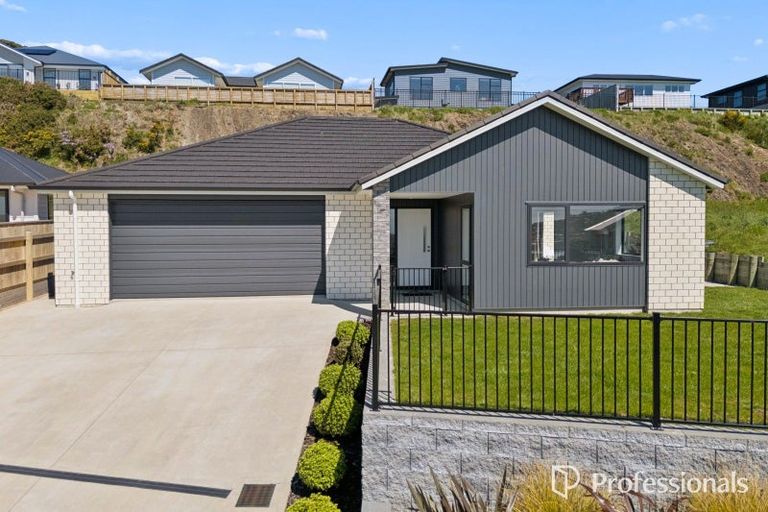 Photo of property in 63 Ken Douglas Drive, Aotea, Porirua, 5024