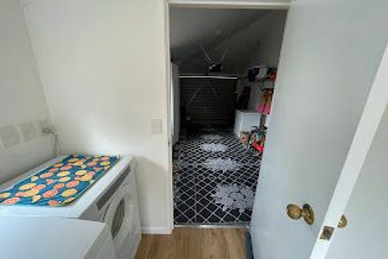 Photo of property in 103a Clarkin Road, Fairfield, Hamilton, 3214