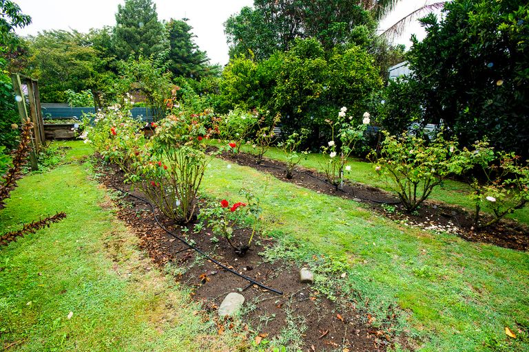 Photo of property in 23 Walsh Street, Mangapapa, Gisborne, 4010