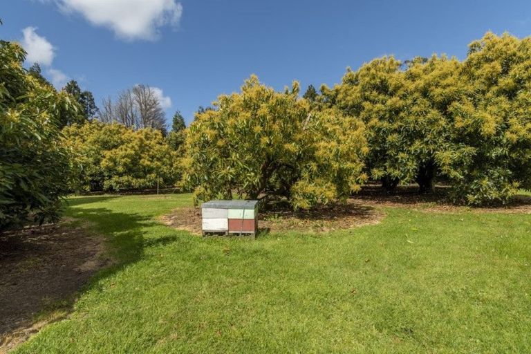 Photo of property in 2603 State Highway 2, Aongatete, Katikati, 3178