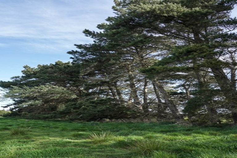 Photo of property in 21 Mcgilvray Road, Myross Bush, Invercargill, 9876