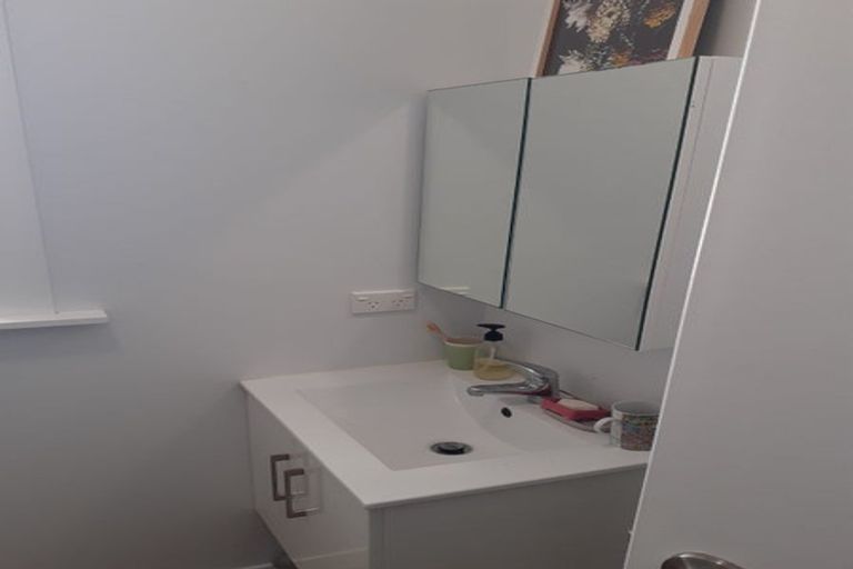 Photo of property in 56 Coromandel Street, Newtown, Wellington, 6021