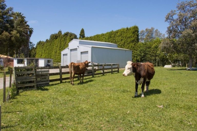 Photo of property in 117b Matahui Road, Aongatete, Katikati, 3181