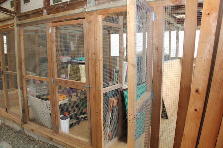 Photo of property in 85 Newton Road, Maungatapere, Whangarei, 0170