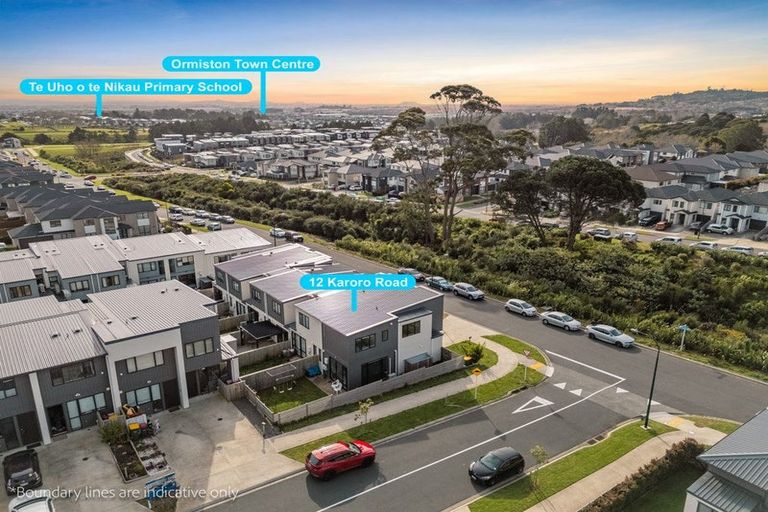 Photo of property in 12 Karoro Road, Flat Bush, Auckland, 2019