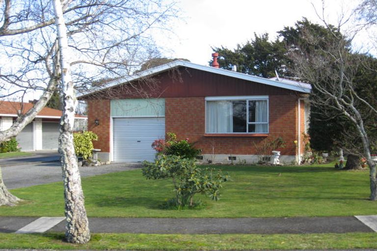 Photo of property in 13 Plunket Street, Solway, Masterton, 5810