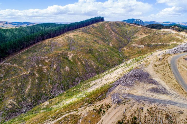 Photo of property in 3525 Masterton Castlepoint Road, Mangapakeha, Masterton, 5889