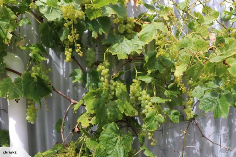 Photo of property in 101a Randwick Crescent, Moera, Lower Hutt, 5010