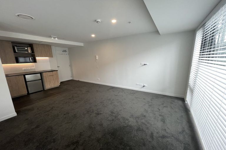 Photo of property in Pinnacle Apartments, W303/160 Victoria Street, Te Aro, Wellington, 6011