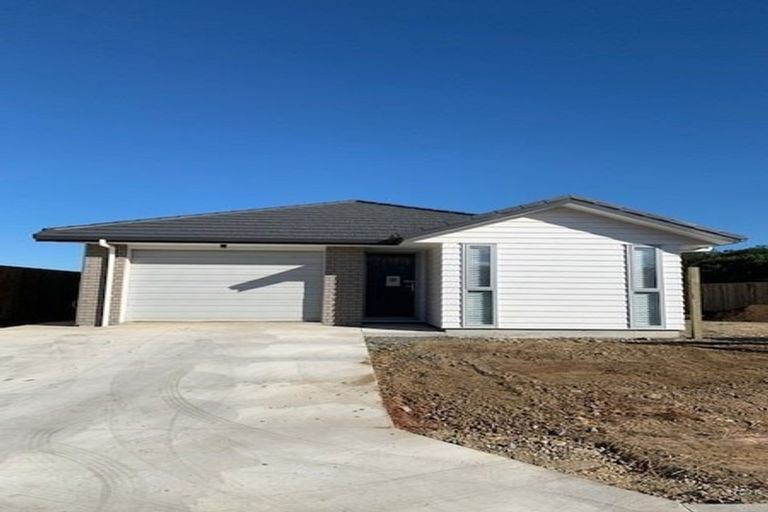 Photo of property in 126 Hinemoa Street, Levin, 5510