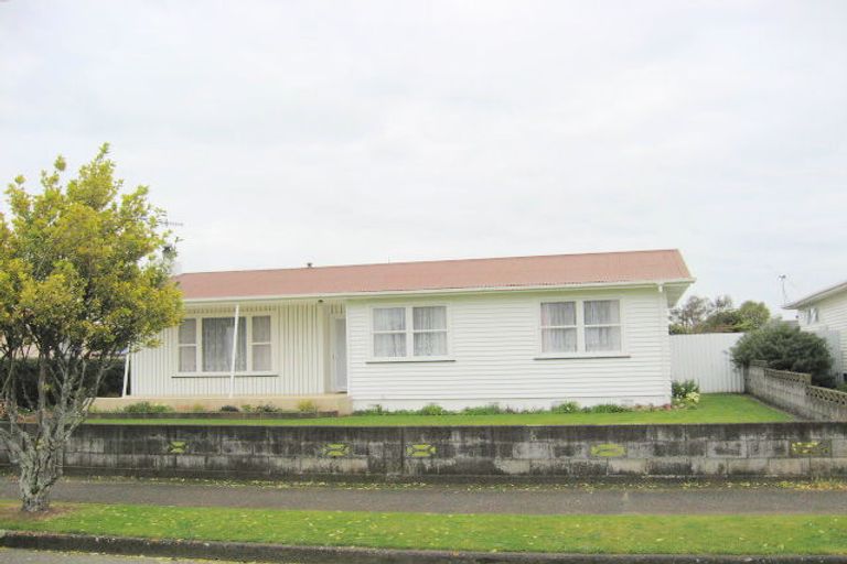 Photo of property in 40 Elizabeth Street, Levin, 5510