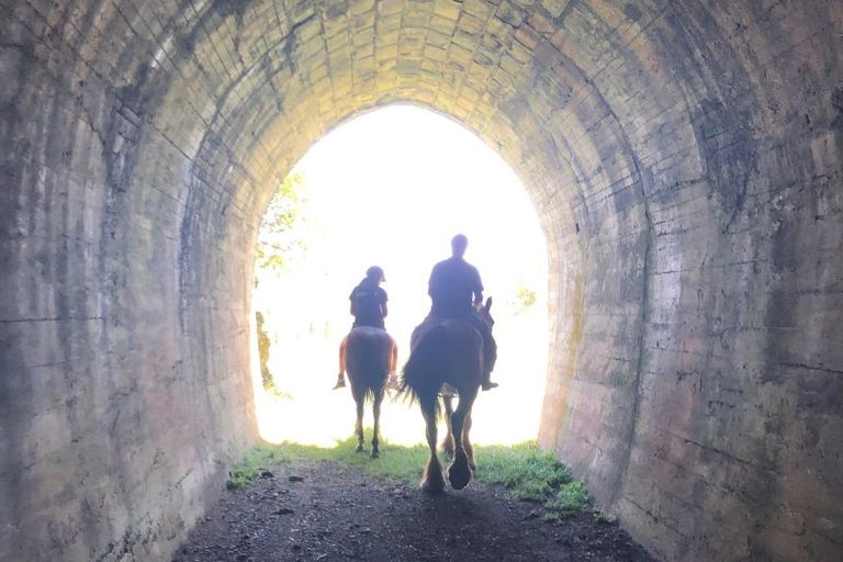 Photo of property in 6339 Matawai Road, Matawai, 4075