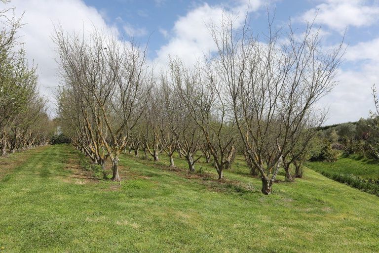 Photo of property in 466 Jeffersons Line, Marton, 4788