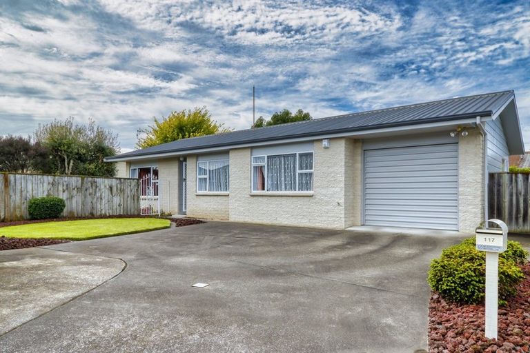 Photo of property in 117 Avondale Road, Greenmeadows, Napier, 4112