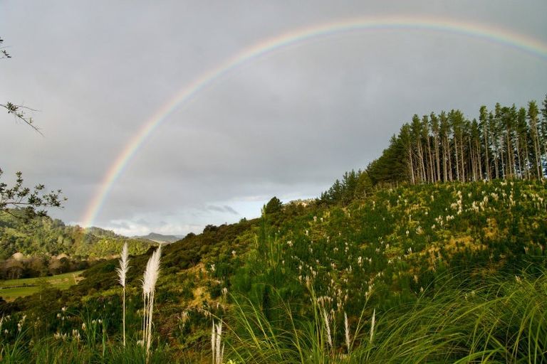 Photo of property in 1870 The 309 Road, Kaimarama, Whitianga, 3591