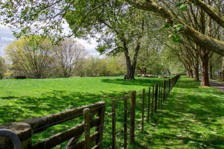 Photo of property in 41 Thirlwall Lane, Cambridge, 3495