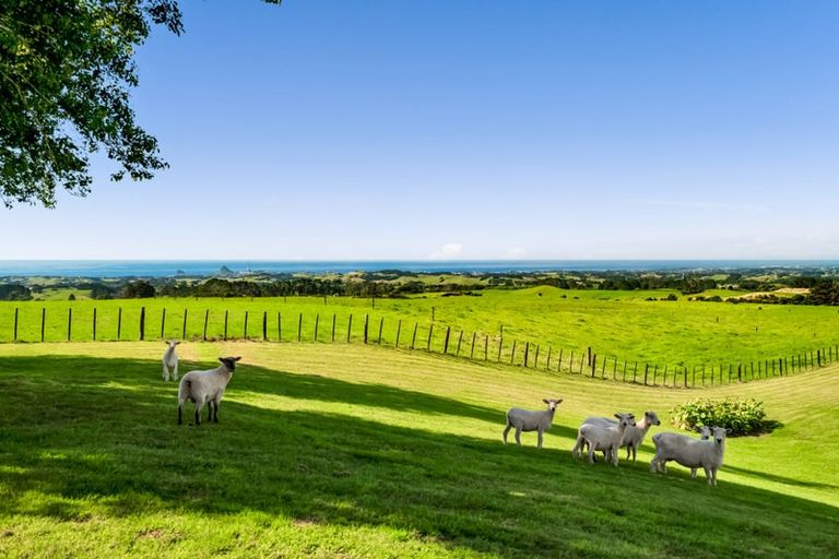 Photo of property in 911 Plymouth Road, Koru, New Plymouth, 4374