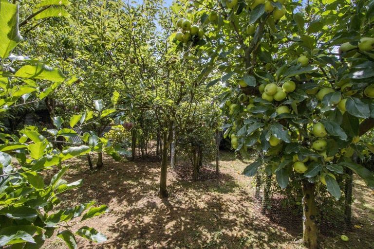 Photo of property in 10 Richmal Street, Waihi, 3610