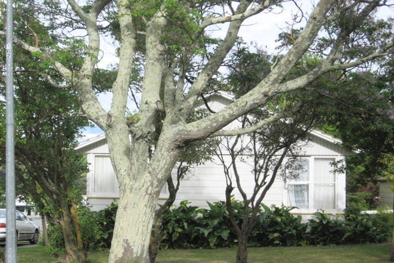 Photo of property in 20 Lyell Road, Outer Kaiti, Gisborne, 4010