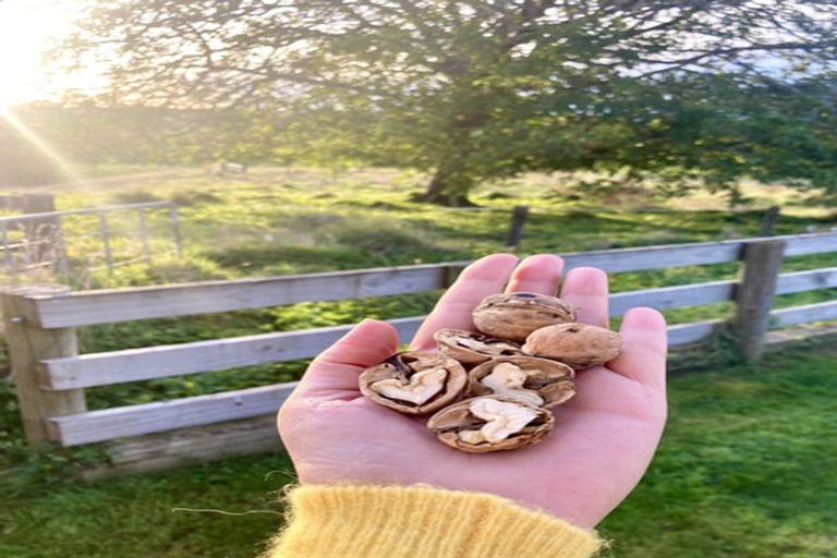 Photo of property in 13 Pukeiti Road, Te Mapara, Te Kuiti, 3981