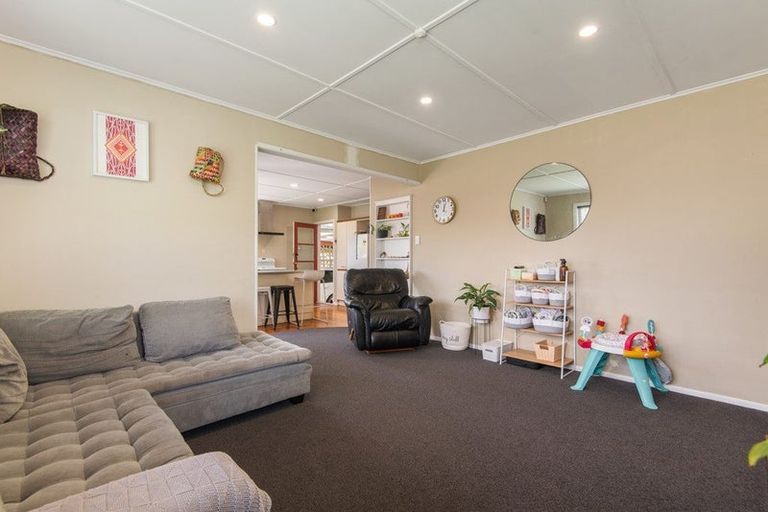 Photo of property in 24 Snowdon Avenue, Terrace End, Palmerston North, 4410