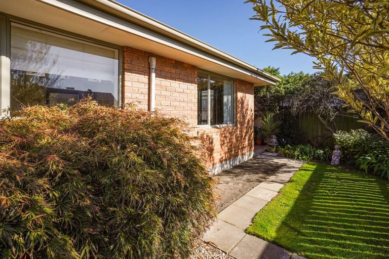 Photo of property in 247a Barrington Street, Spreydon, Christchurch, 8024