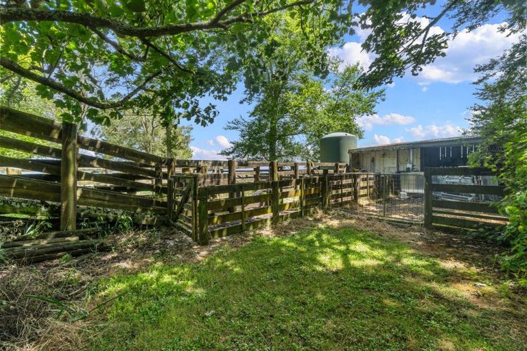 Photo of property in 885 Bond Road, Te Awamutu, 3879