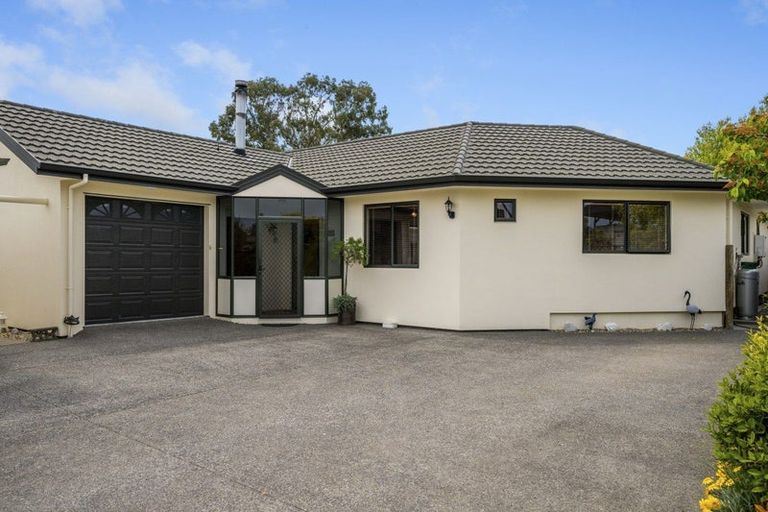 Photo of property in 54d Mclauchlan Street, Springlands, Blenheim, 7201
