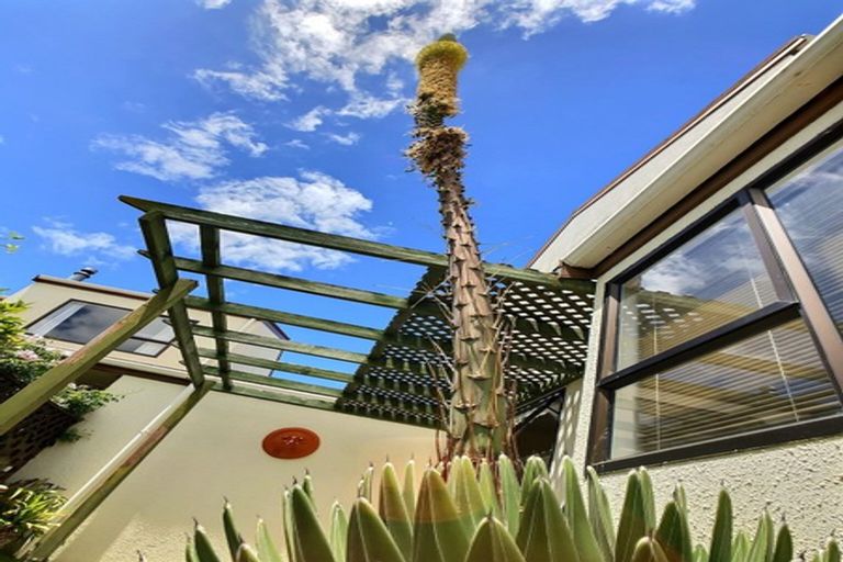 Photo of property in 1/12 Lannie Place, Greenmeadows, Napier, 4112