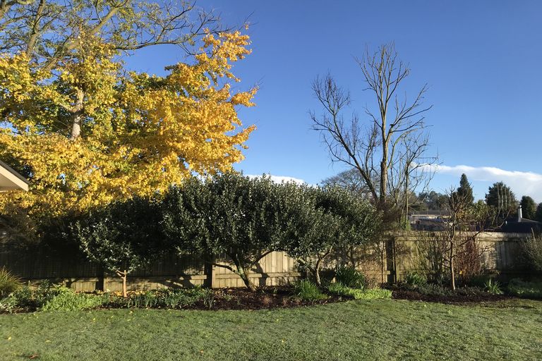 Photo of property in 32a Bryce Street, Kihikihi, Te Awamutu, 3800