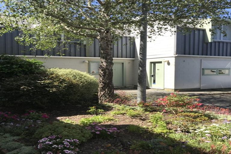 Photo of property in Paddington Apartments, 13/15 Mckinley Crescent, Brooklyn, Wellington, 6021