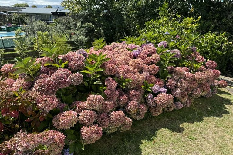 Photo of property in 19 Chums Road, Paraparaumu Beach, Paraparaumu, 5032