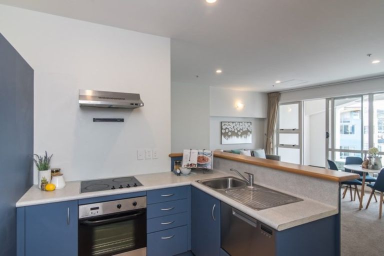 Photo of property in Stadium Garden Flats, 308/107 Thorndon Quay, Pipitea, Wellington, 6011