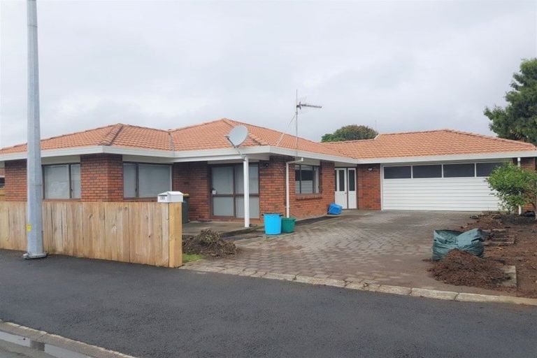 Photo of property in 195 Powderham Street, New Plymouth, 4310