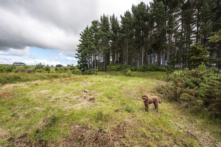 Photo of property in 325 Kaipi Road, Hillsborough, New Plymouth, 4372