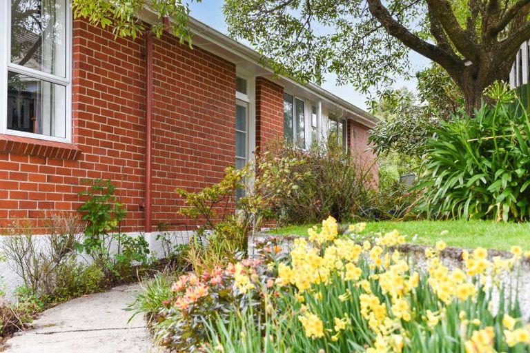 Photo of property in 6 Hillary Street, Liberton, Dunedin, 9010