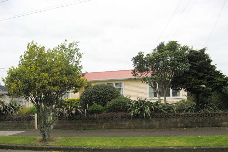Photo of property in 42 Elizabeth Street, Levin, 5510