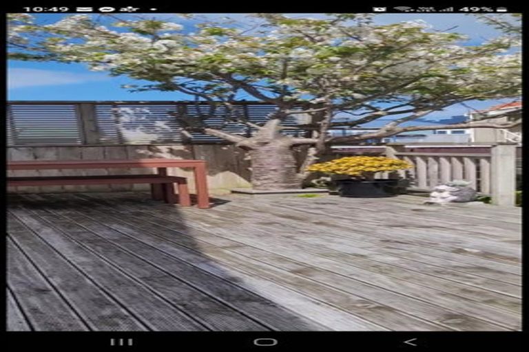 Photo of property in 102a Wexford Road, Miramar, Wellington, 6022