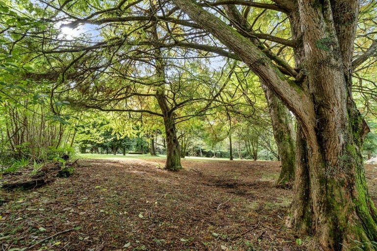 Photo of property in 93 Upland Road, Aongatete, Katikati, 3181