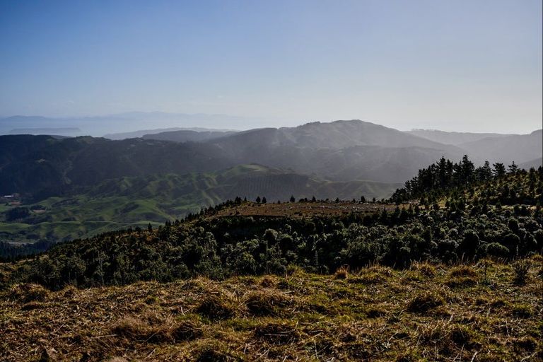 Photo of property in 850a Paekakariki Hill Road, Paekakariki Hill, Porirua, 5381